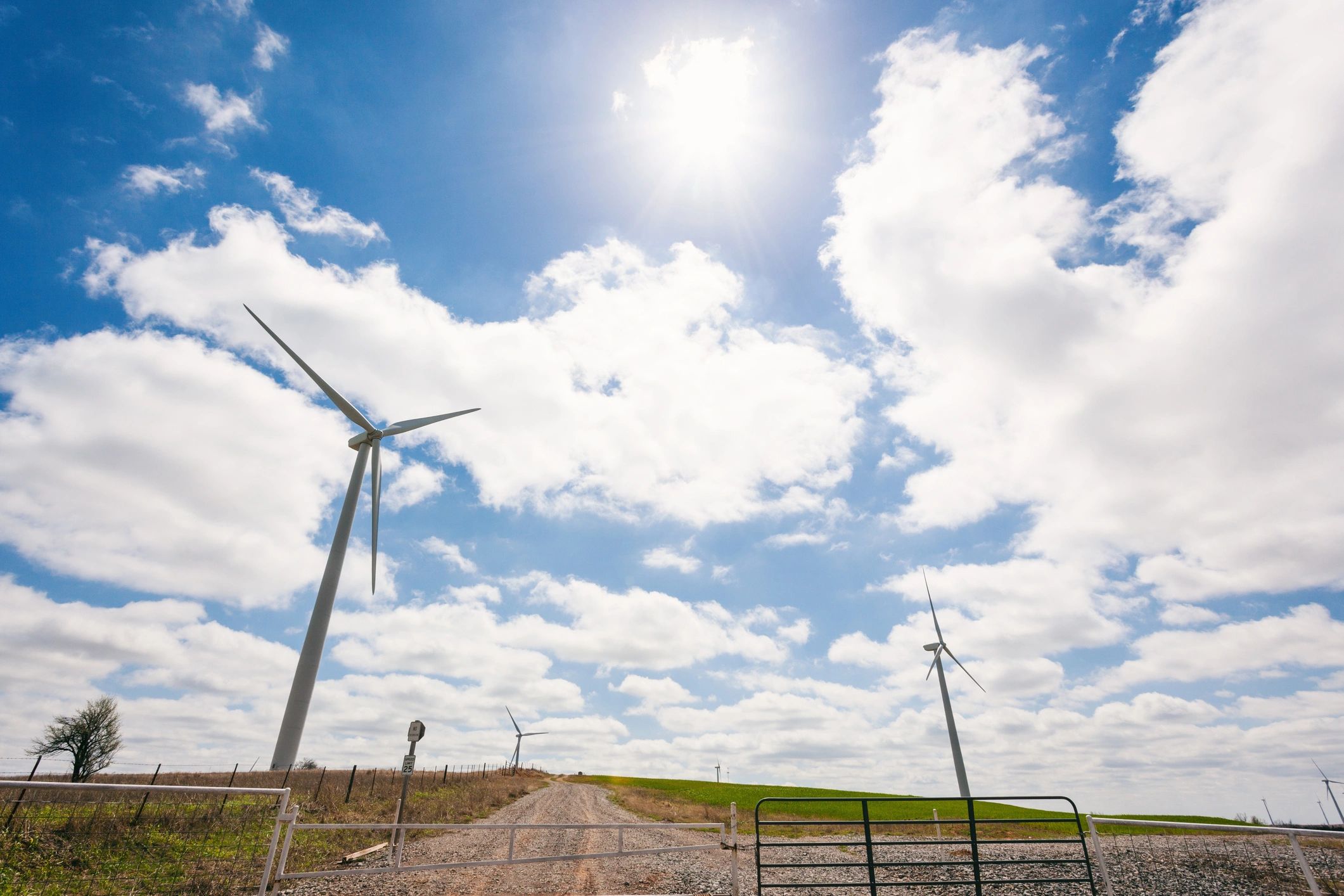 A field of wind turbines